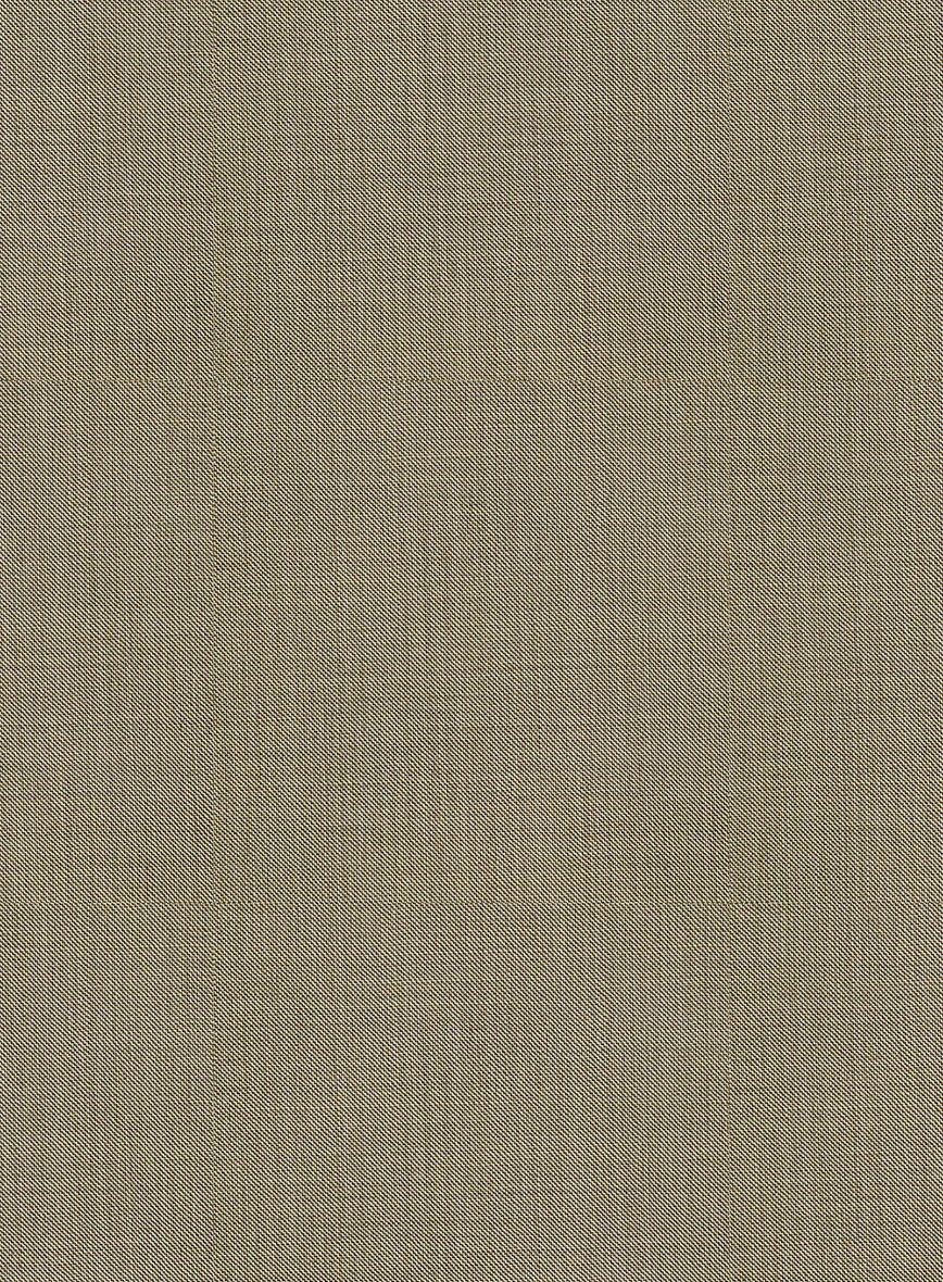 Bristol Beige Sharkskin Pants - Image 3