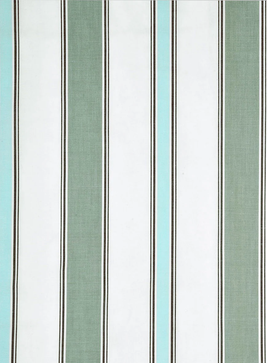 Mint Grove Stripe Cotton Shirt - Image 4
