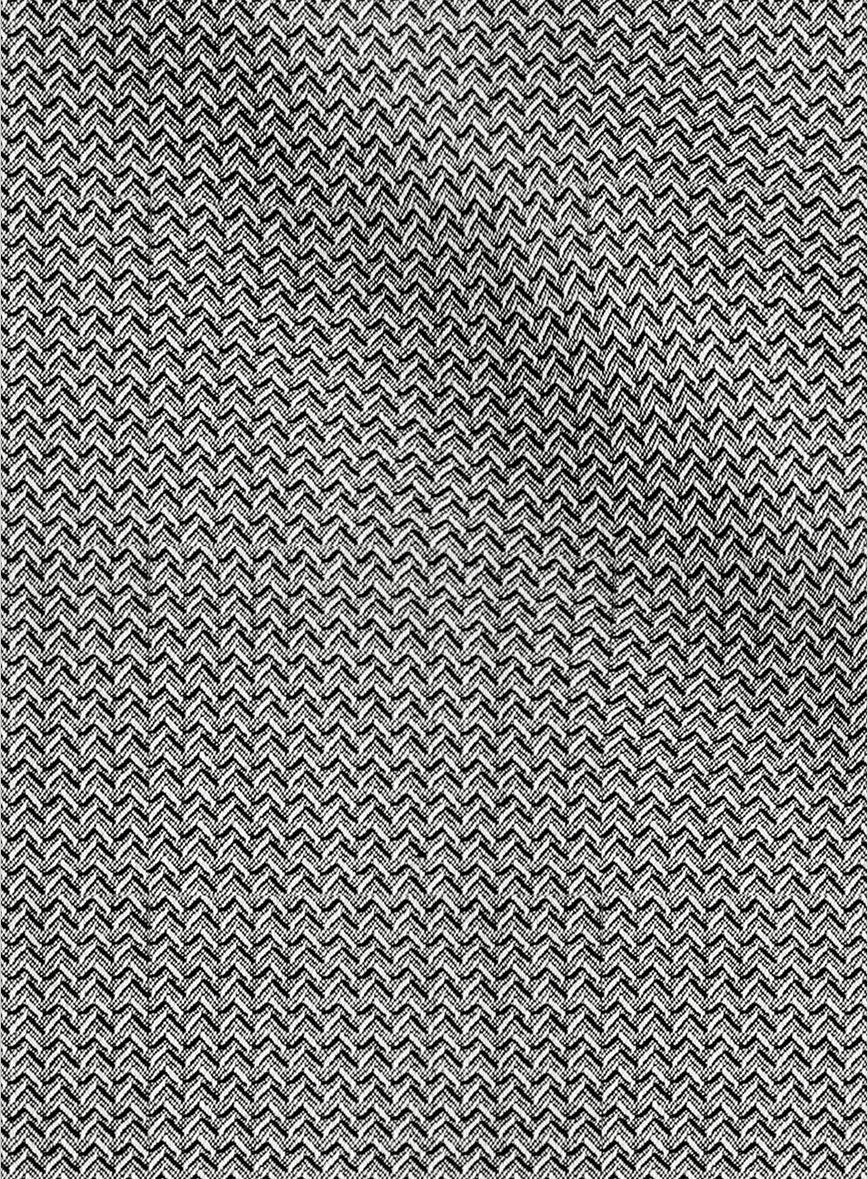 Napolean Dalmoro Chevron Weave Black And White Wool Suit - Image 7