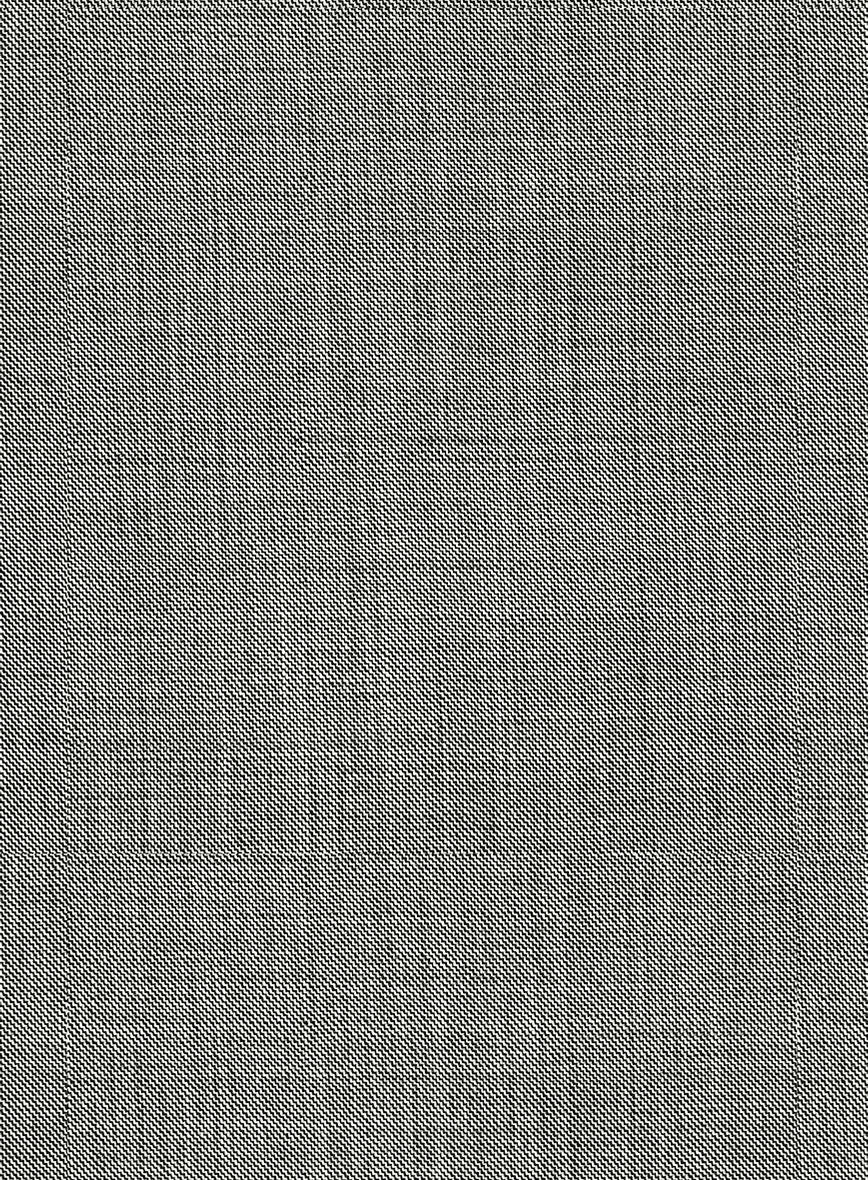 Napolean Sharkskin Light Gray Wool Jacket - Image 3
